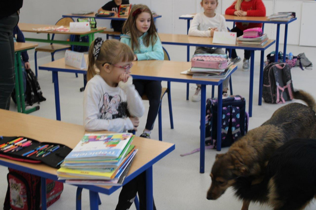 W gminie Barwice już wiedzą, jak funkcjonują „Pies i wilk w świecie ludzi”.