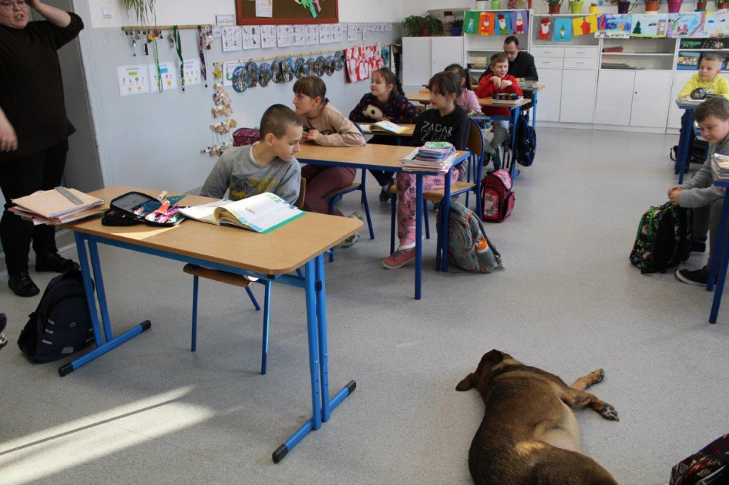 W gminie Barwice już wiedzą, jak funkcjonują „Pies i wilk w świecie ludzi”.