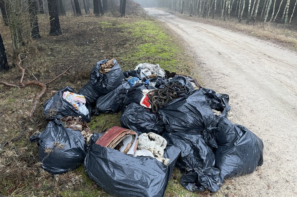 Kilkadziesiąt worków z odpadami na skraju lasu.