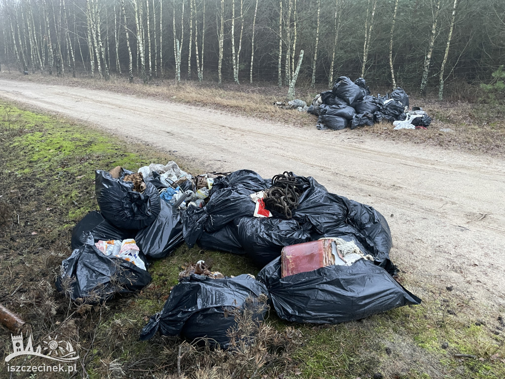 Kilkadziesiąt worków z odpadami na skraju lasu.