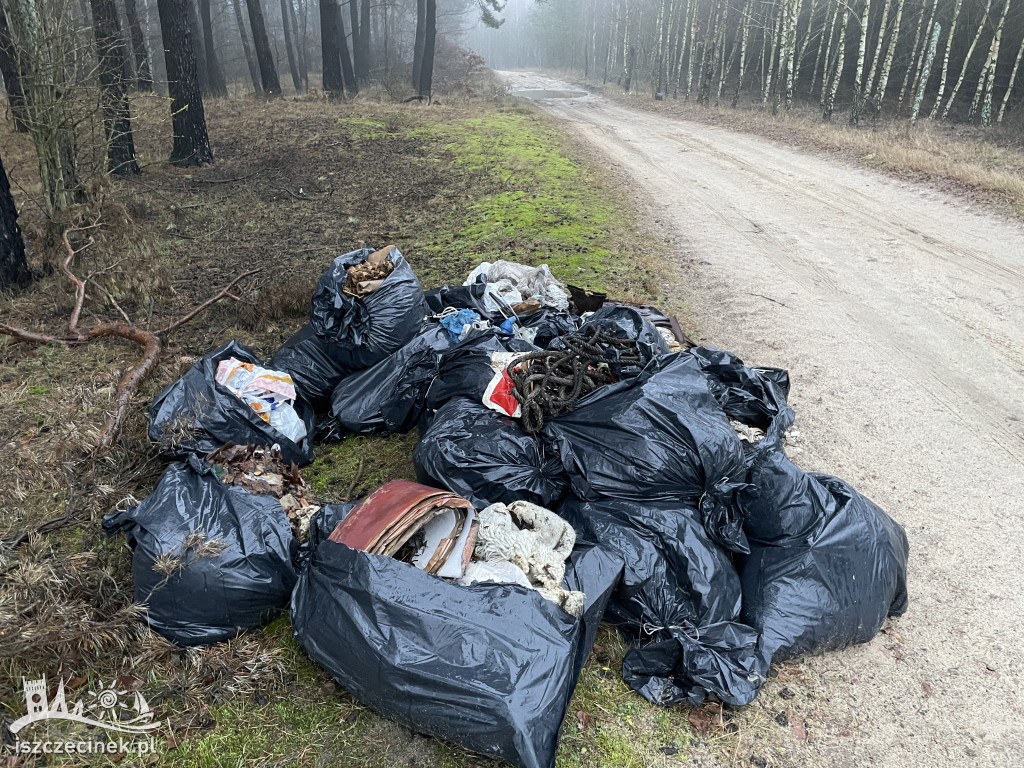 Kilkadziesiąt worków z odpadami na skraju lasu.