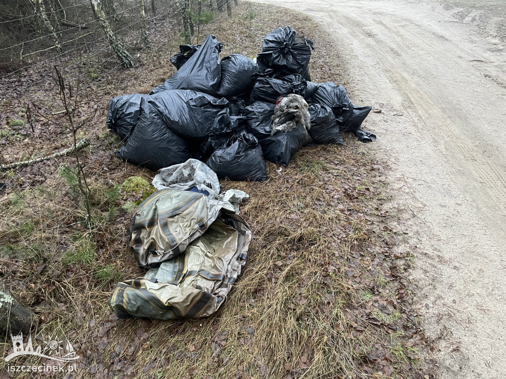 Kilkadziesiąt worków z odpadami na skraju lasu.