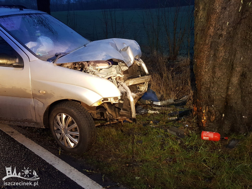 Wypadek przy wjeździe do Barwic. Auto uderzyło w drzewo