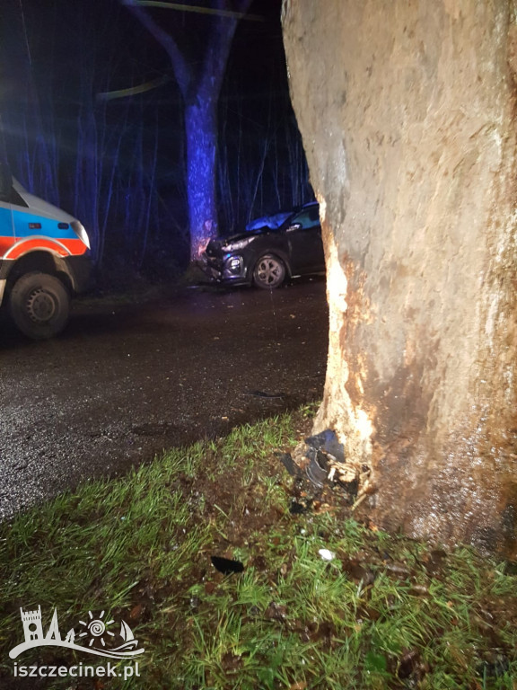 Osobówka rozbiła się na drzewach. Jechało nią trzech mężczyzn