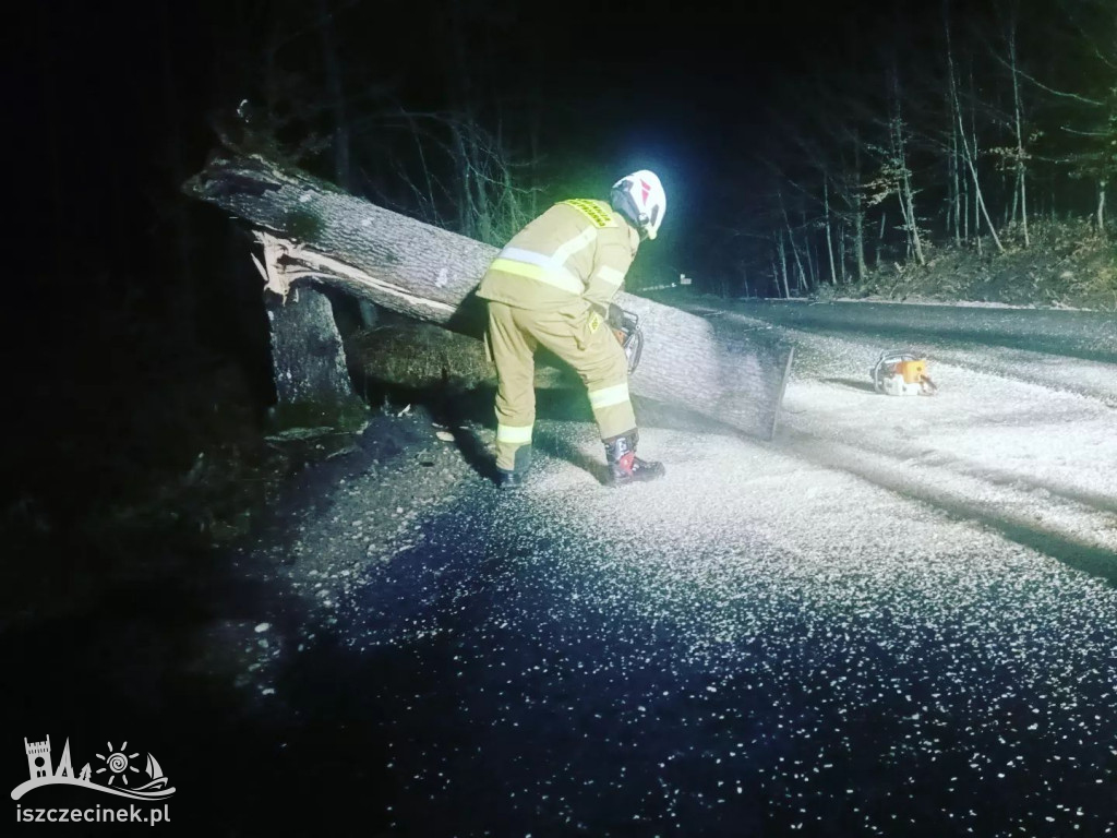 Bilans nocnej wichury w okolicach Szczecinka.