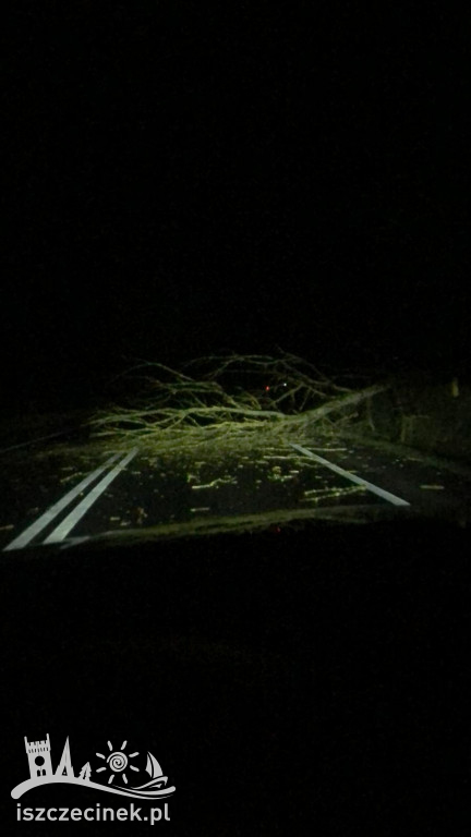 Bilans nocnej wichury w okolicach Szczecinka.
