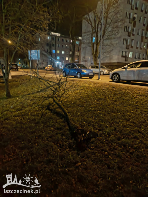 Bilans nocnej wichury w okolicach Szczecinka.