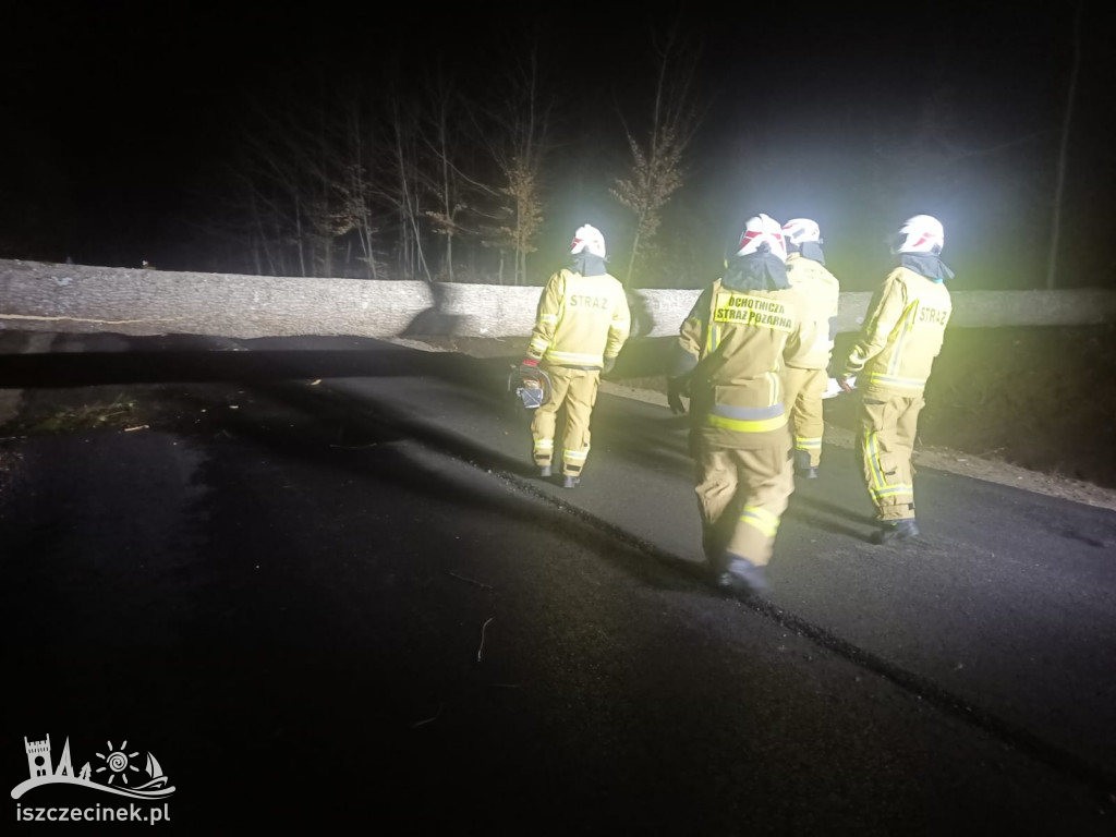 Bilans nocnej wichury w okolicach Szczecinka.