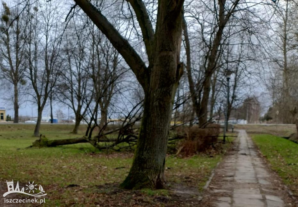 Bilans nocnej wichury w okolicach Szczecinka.