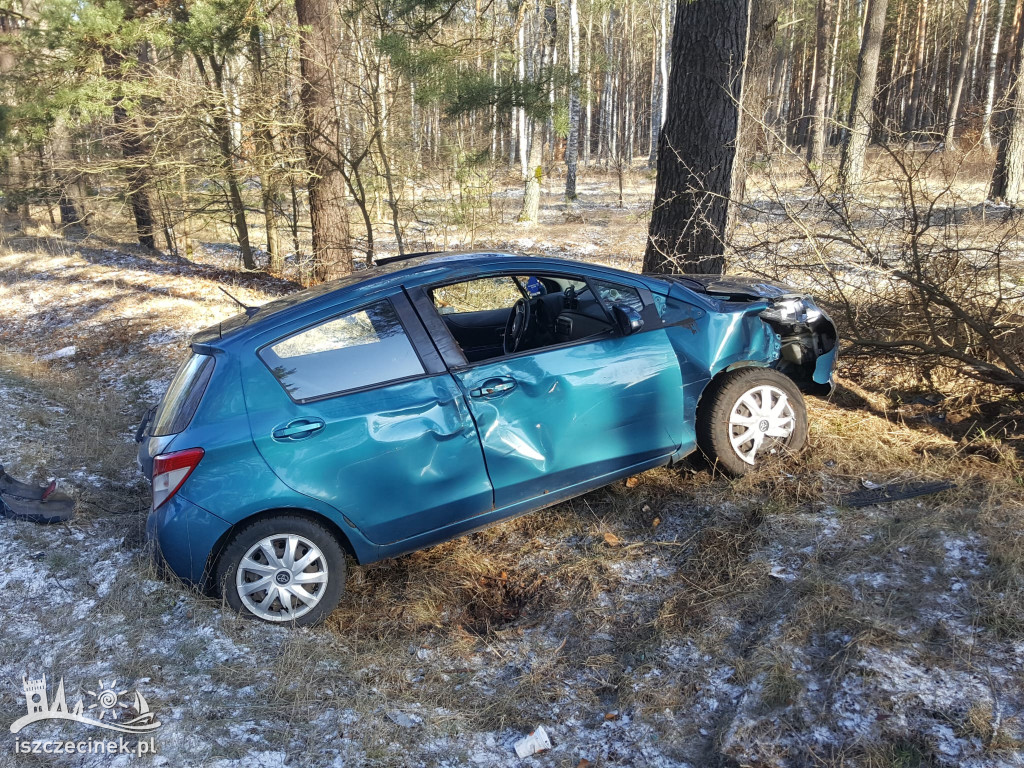 Toyota uderzyła w drzewo na DW201