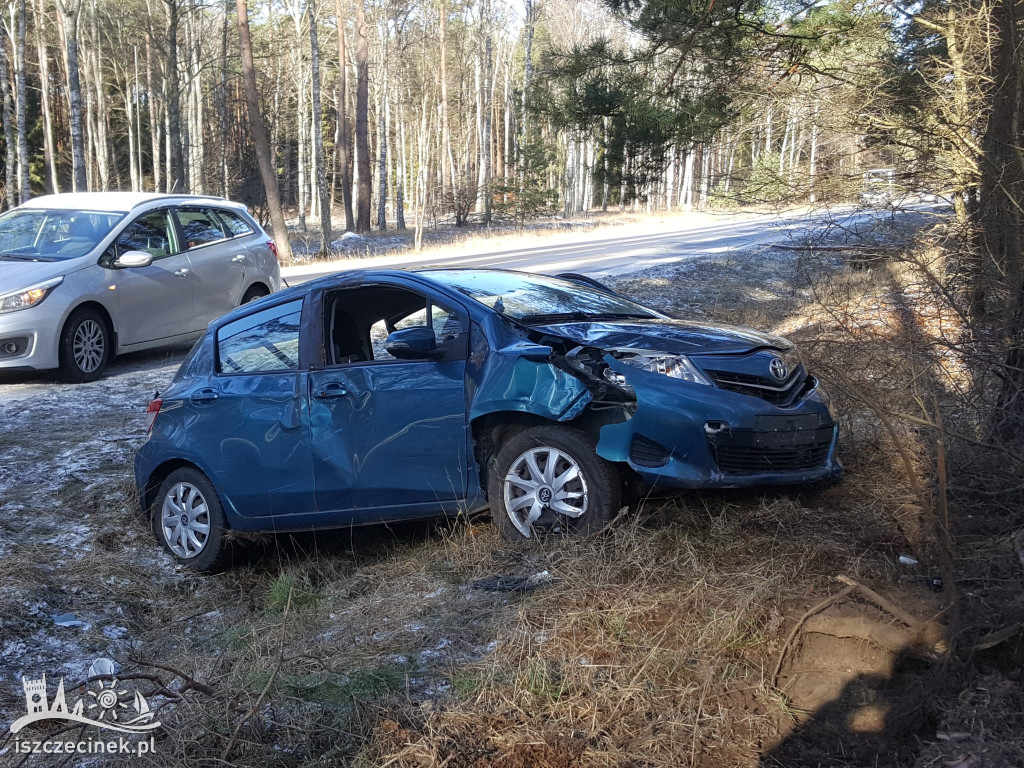 Toyota uderzyła w drzewo na DW201
