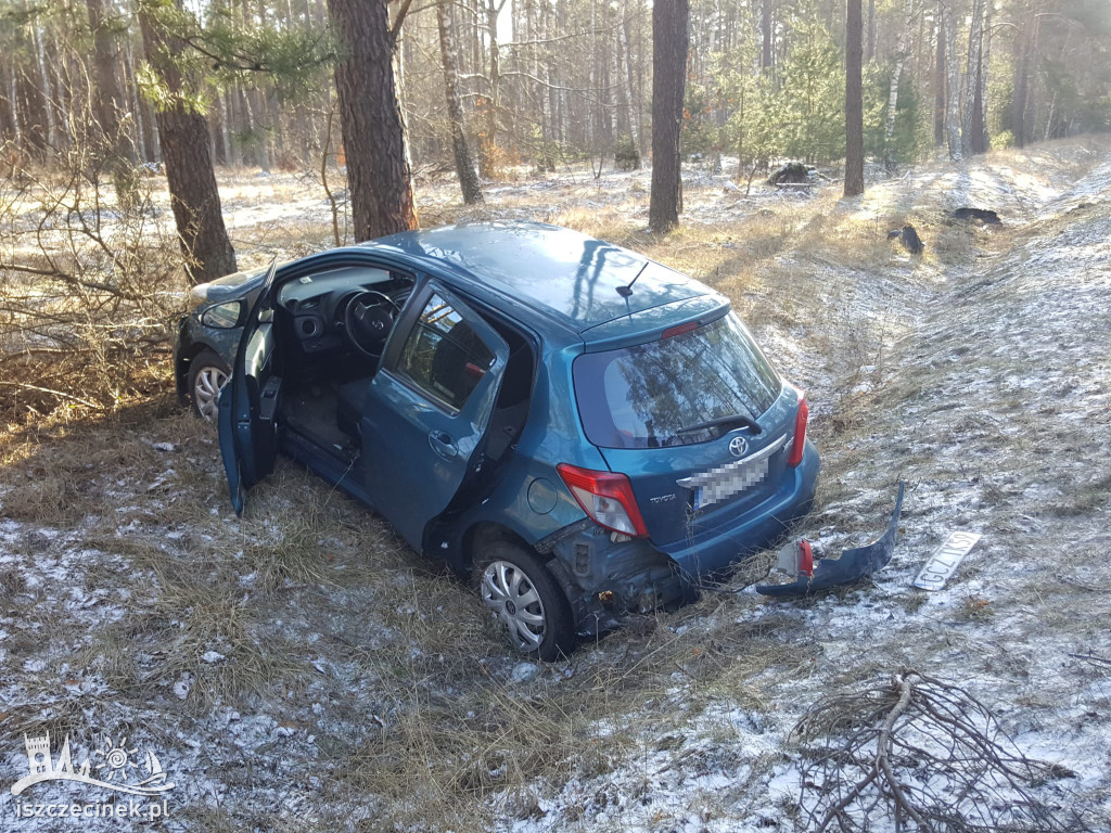 Toyota uderzyła w drzewo na DW201