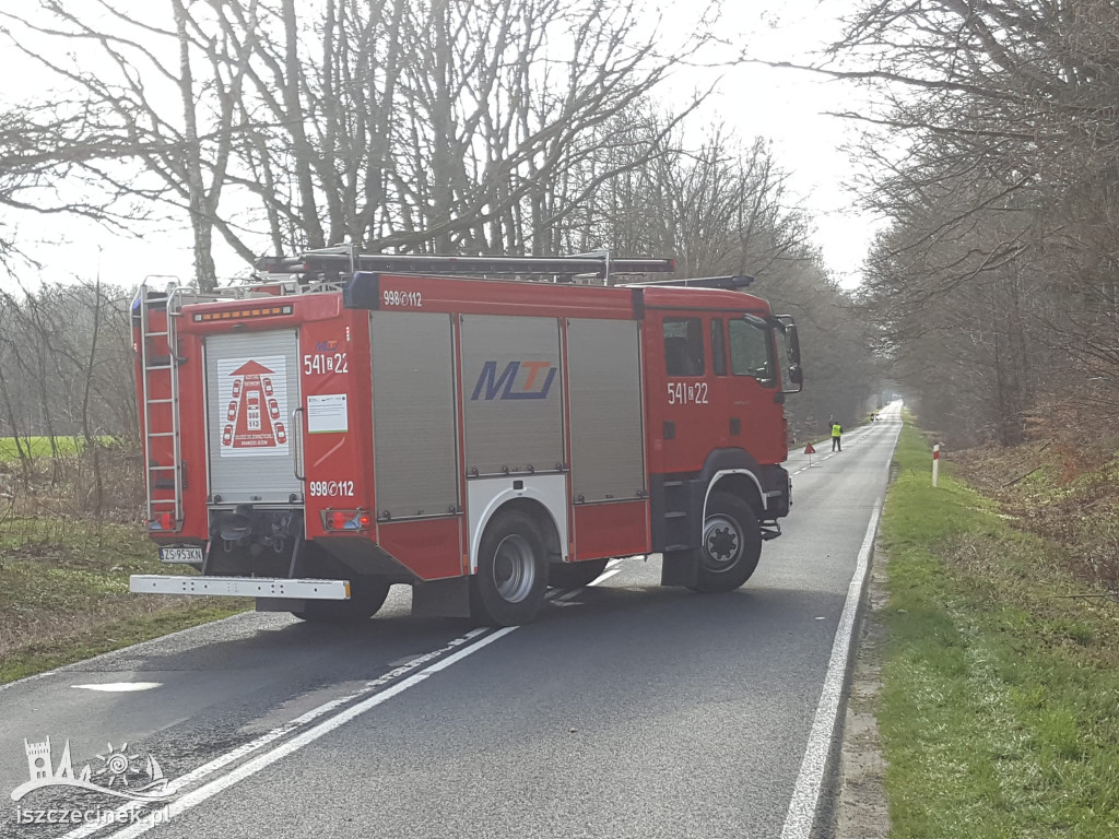 Śmiertelny wypadek pod Szczecinkiem. Nie żyje kierowca BMW, dwie osoby w szpitalu