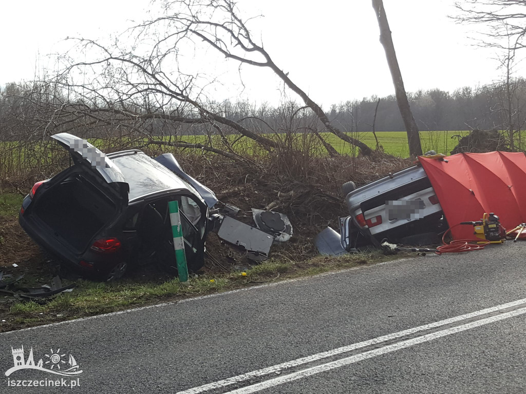 Śmiertelny wypadek pod Szczecinkiem. Nie żyje kierowca BMW, dwie osoby w szpitalu
