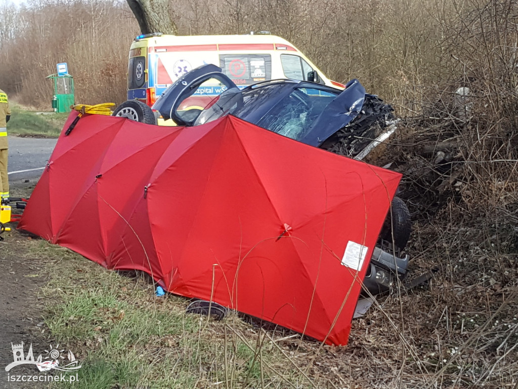Śmiertelny wypadek pod Szczecinkiem. Nie żyje kierowca BMW, dwie osoby w szpitalu