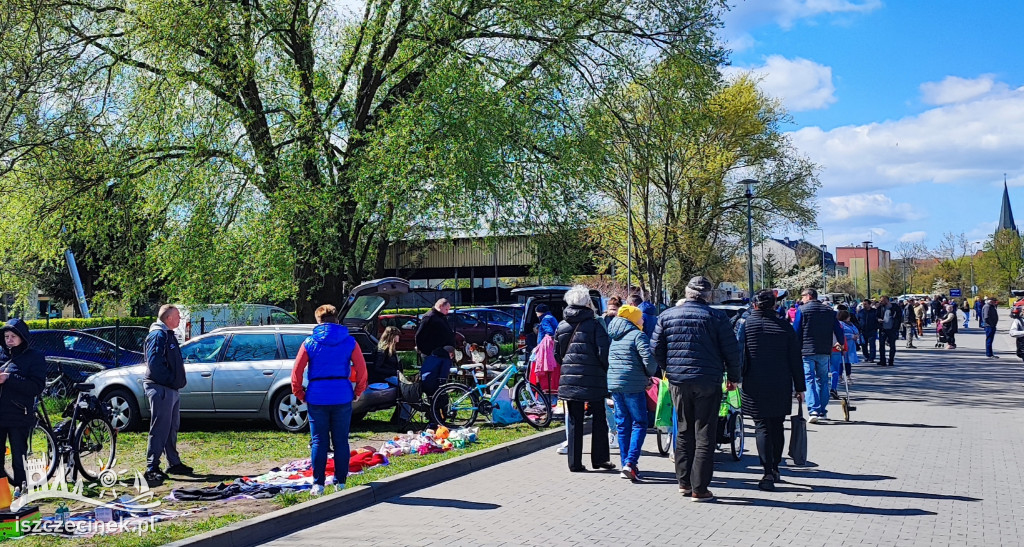 Tłumy na rynku. Pchli targ wrócił po zimowej przerwie