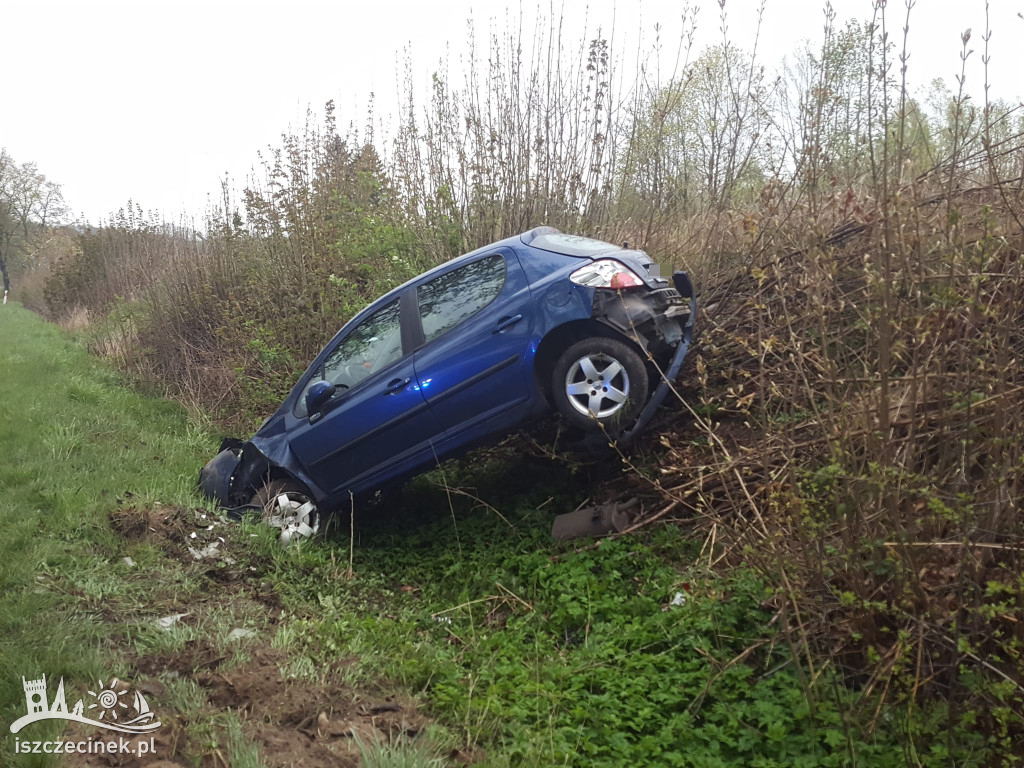 Peugeot wypadł z drogi. Jedna osoba trafiła do szpitala