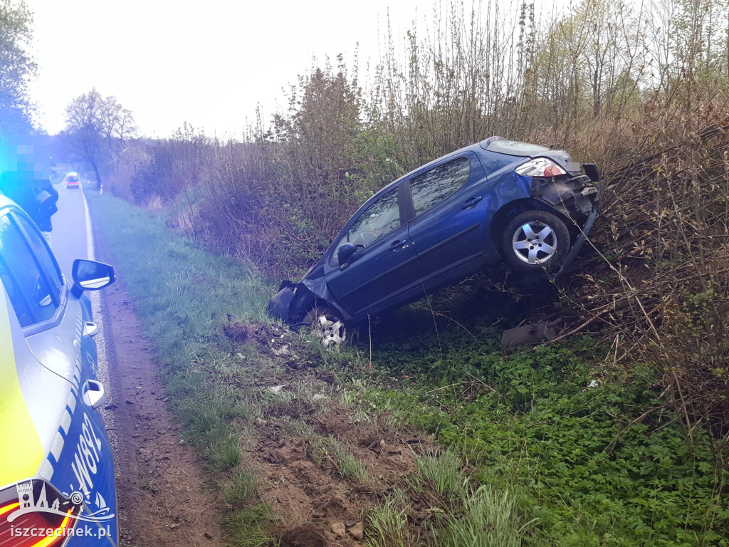Peugeot wypadł z drogi. Jedna osoba trafiła do szpitala