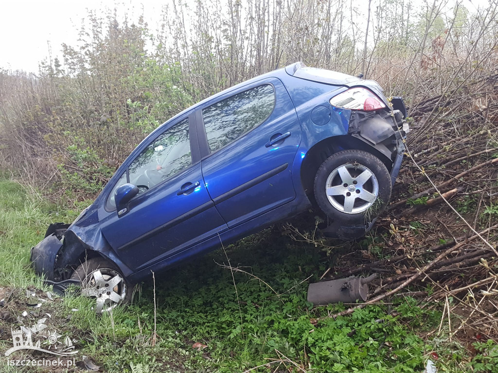 Peugeot wypadł z drogi. Jedna osoba trafiła do szpitala