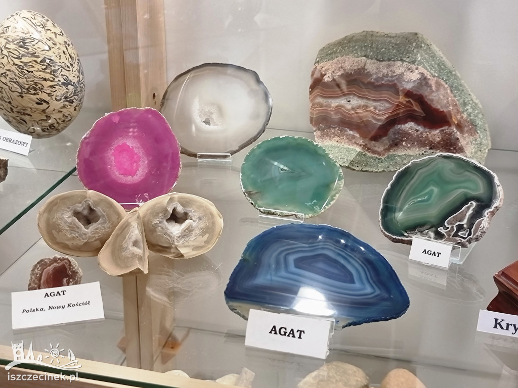 Muzeum parafialne przy kościele św. Rozalii w Szczecinku