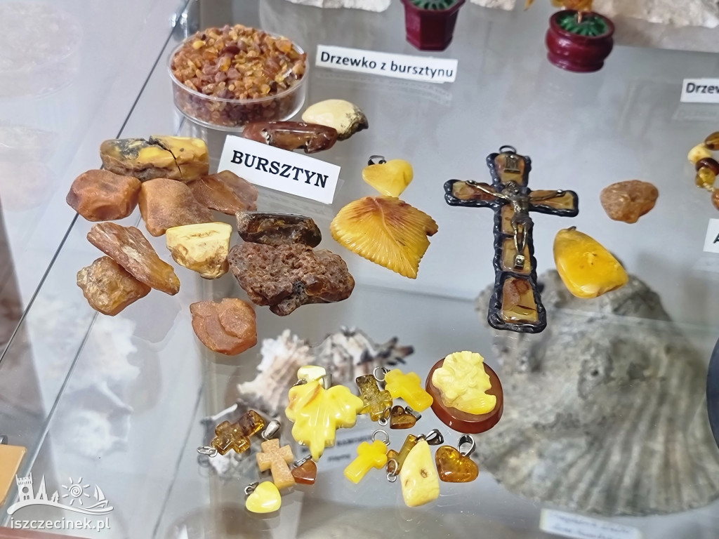 Muzeum parafialne przy kościele św. Rozalii w Szczecinku