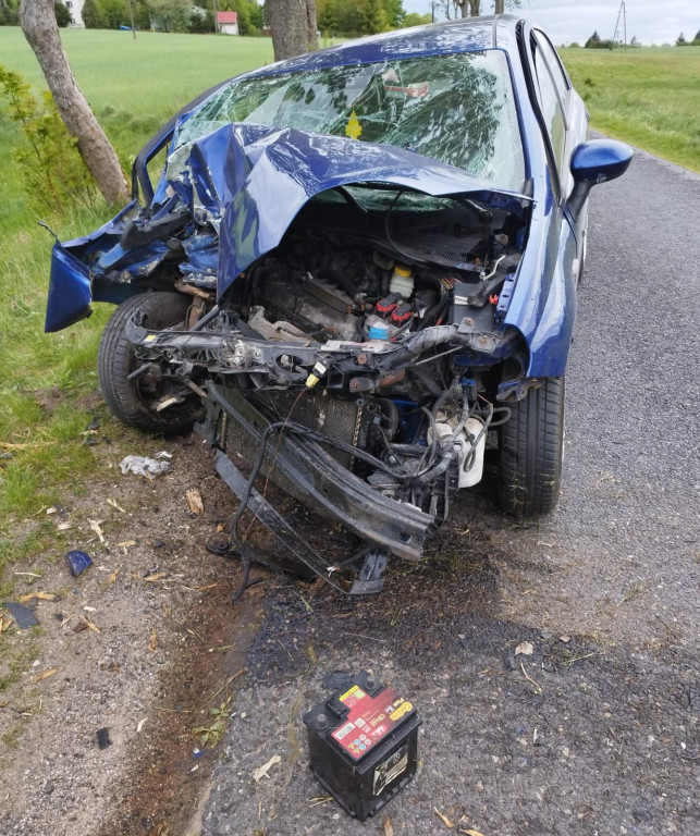 Fiat uderzył w drzewo pod Wierzchowem