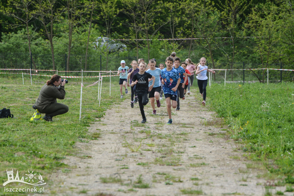 Cross Bociana po raz szósty! Sportowe emocje w Nadleśnictwie Czarnobór