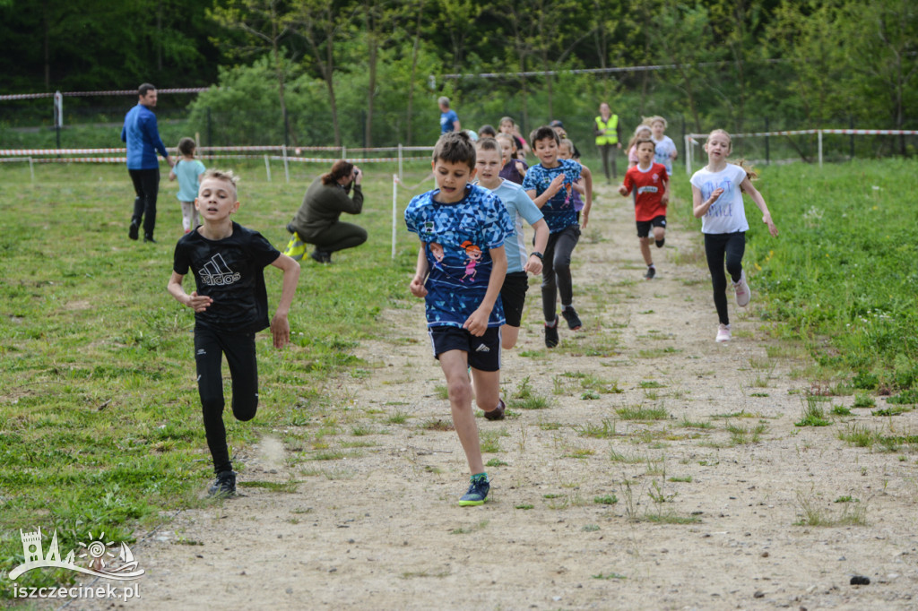 Cross Bociana po raz szósty! Sportowe emocje w Nadleśnictwie Czarnobór