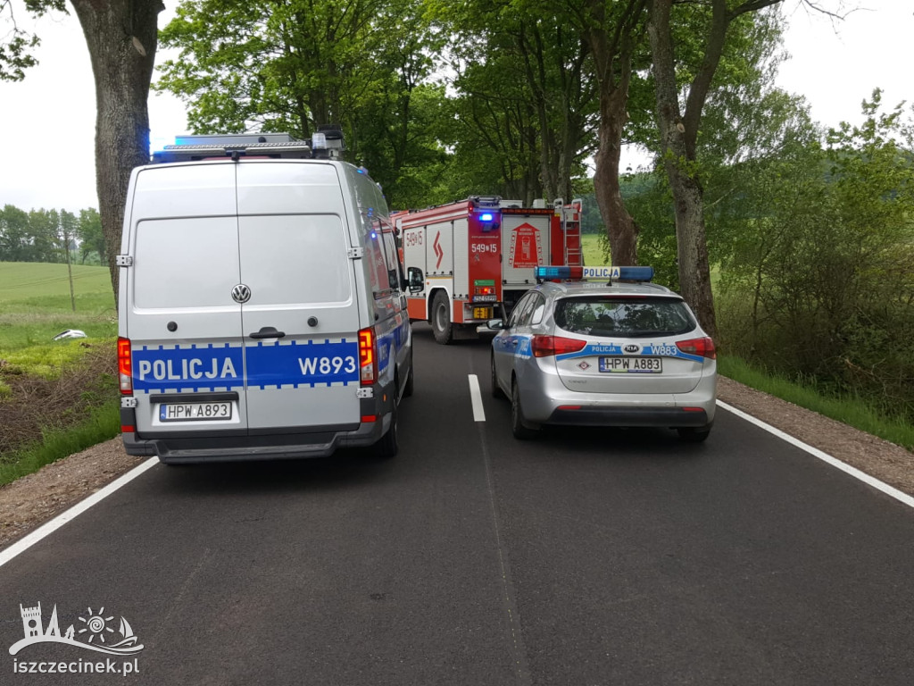 Samochód dostawczy rozbił się na drzewie. Kierowca wyleciał z kabiny
