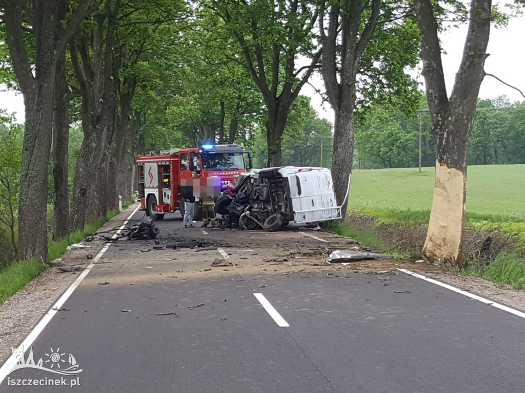 Samochód dostawczy rozbił się na drzewie. Kierowca wyleciał z kabiny