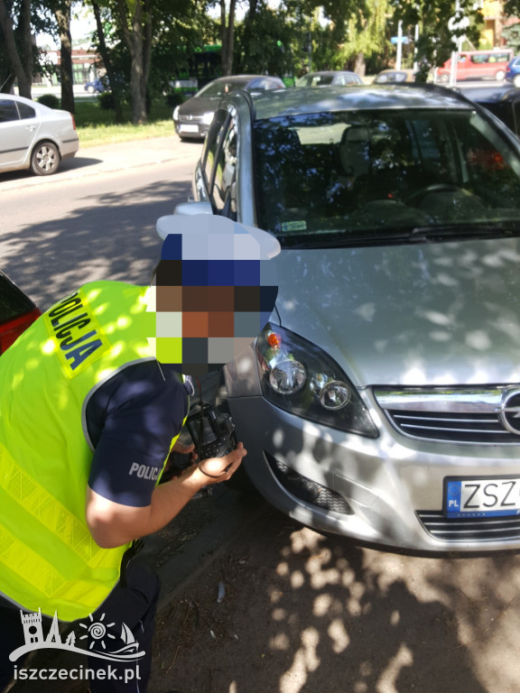 Pies wbiegł pod samochód. Trzeba było podnieść pojazd