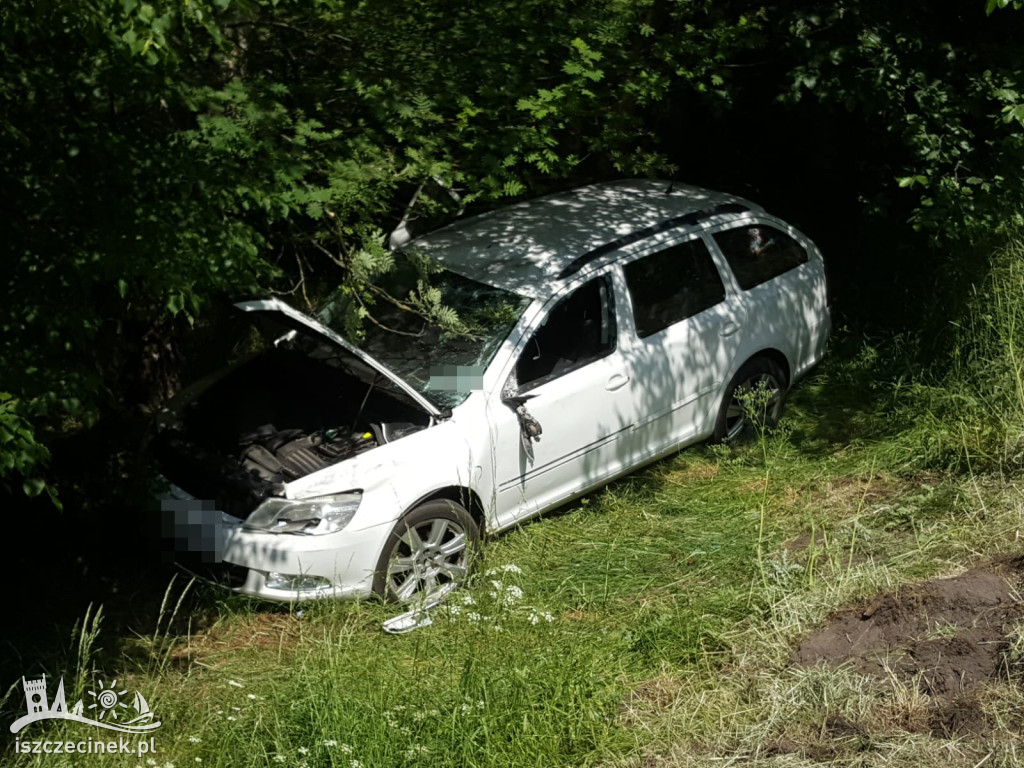 Osobówka wypadła z drogi. W środku była 4-osobowa rodzina