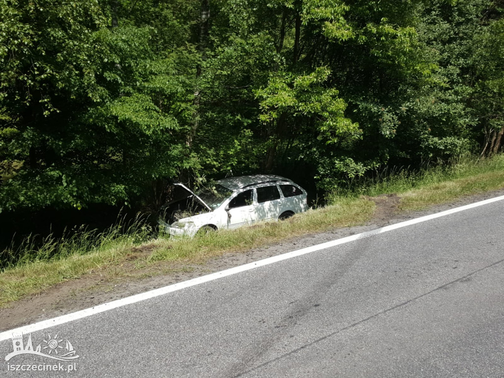 Osobówka wypadła z drogi. W środku była 4-osobowa rodzina