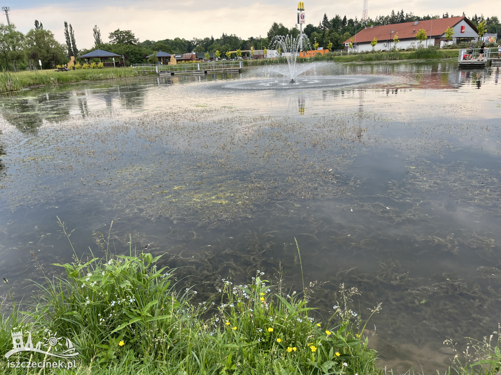 Jeziorko przy ul. Kopernika w Szczecinku