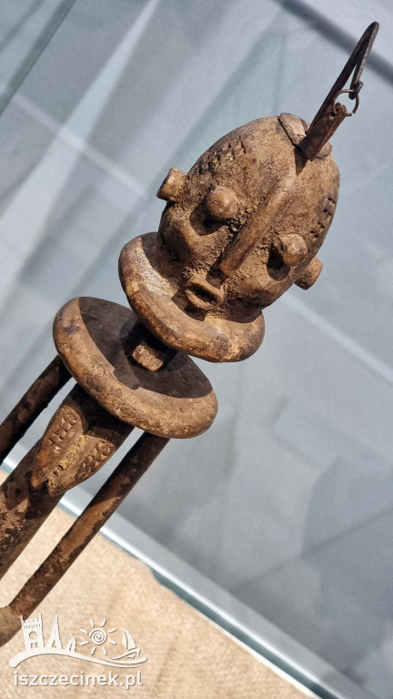 „Małe Mi” i tajemnice Czarnego Lądu w szczecineckim Muzeum Regionalnym.