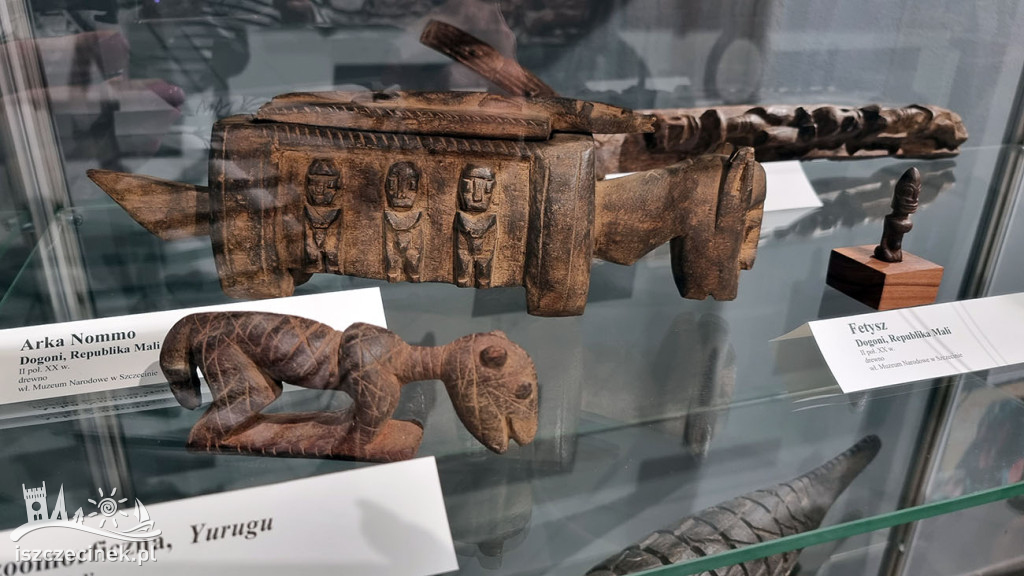 „Małe Mi” i tajemnice Czarnego Lądu w szczecineckim Muzeum Regionalnym.