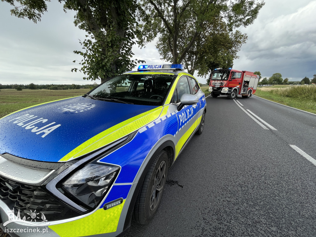 Czołowe zderzenie dwóch samochodów na DK20 [ZDJĘCIA]