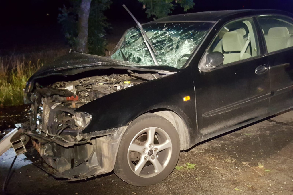 Samochód roztrzaskany na drzewie. Co się stało z kierowcą?