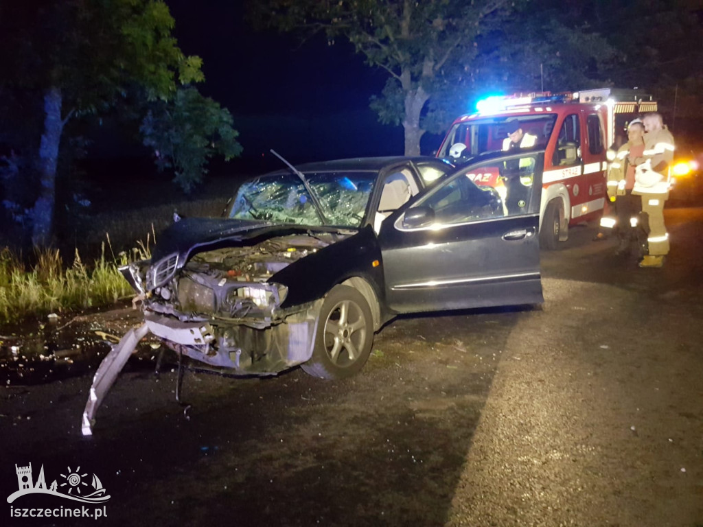 Samochód roztrzaskany na drzewie. Co się stało z kierowcą?