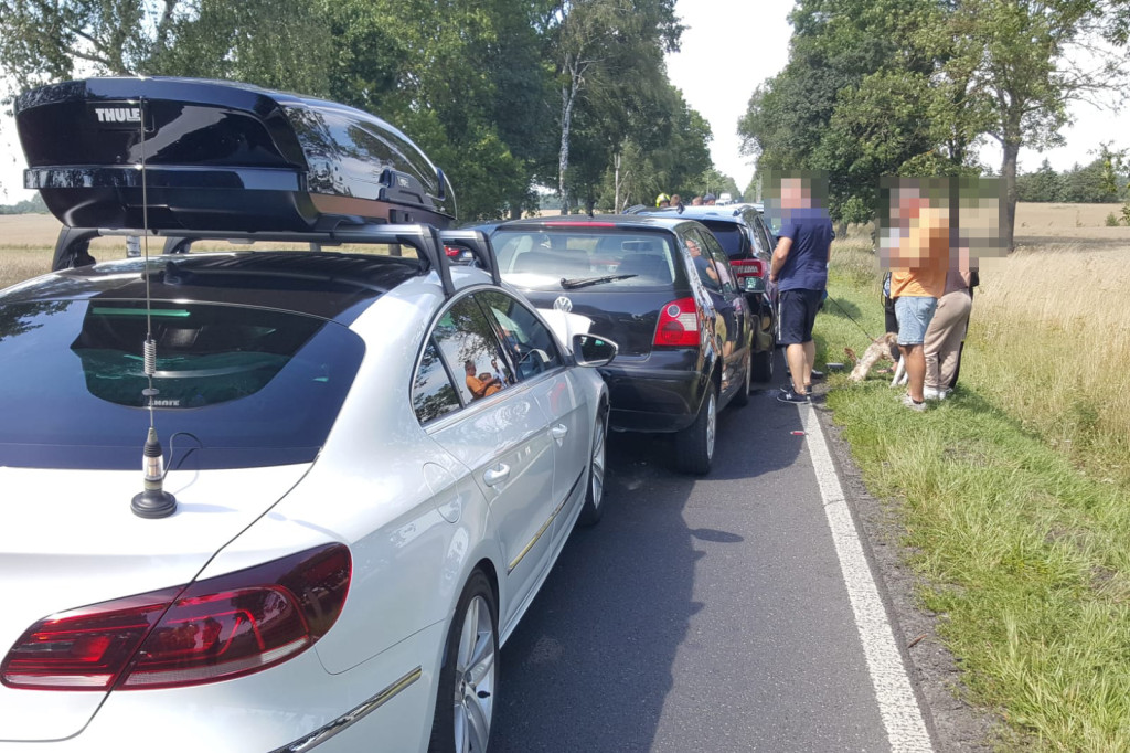 Karambol czterech samochodów na DK11. Wpadały na siebie jak domino