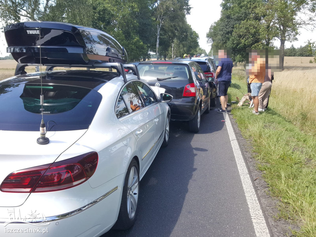 Karambol czterech samochodów na DK11. Wpadały na siebie jak domino