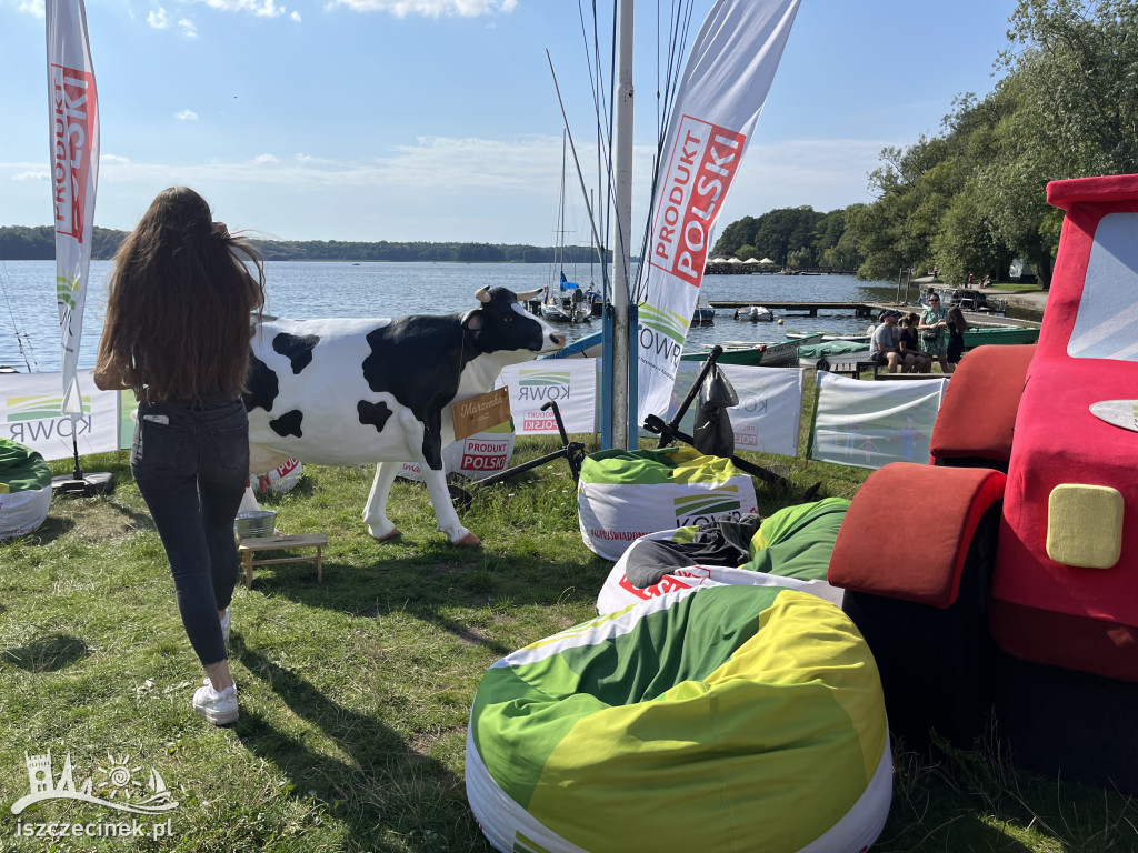 Piknik 