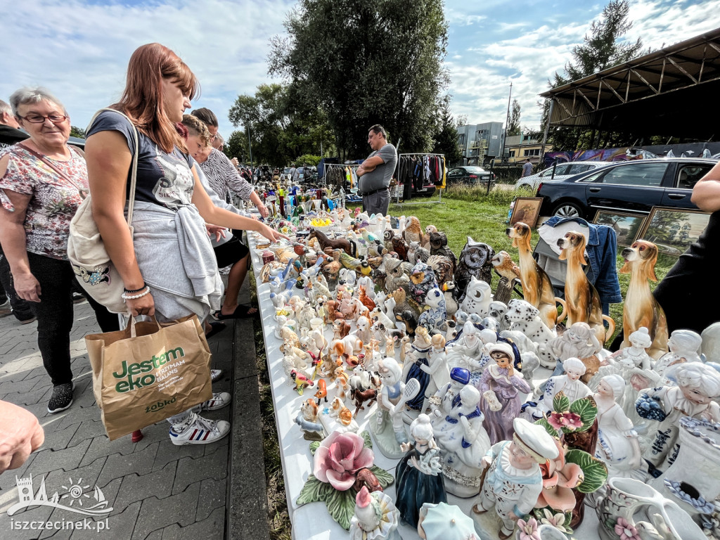 Pchli targ w Szczecinku. Tłumy mieszkańców [ZDJĘCIA]