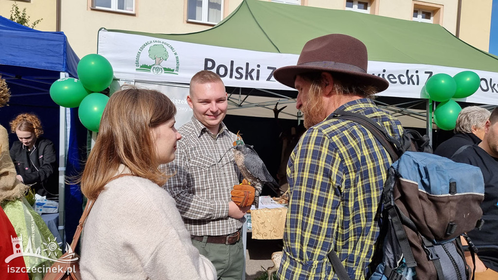 100-lecie Lasów Państwowych. Uroczyste obchody i piknik dla całych rodzin.