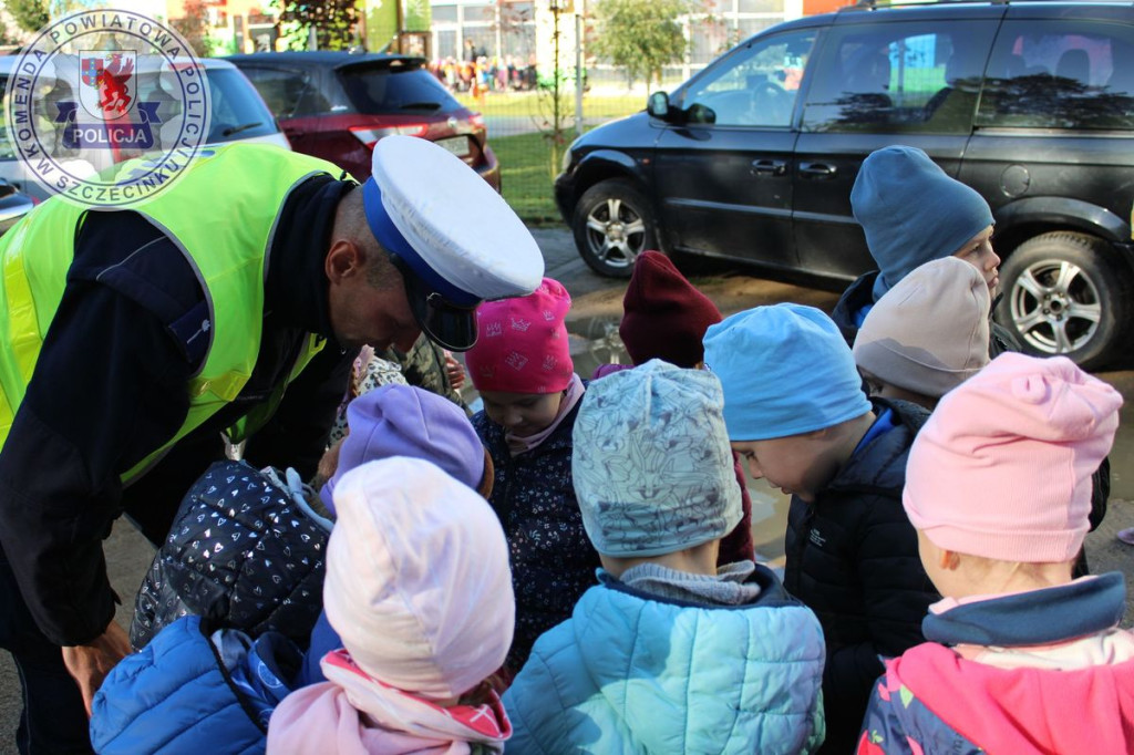 Kotki i żabki w policyjnym ambulansie pogotowia ruchu drogowego