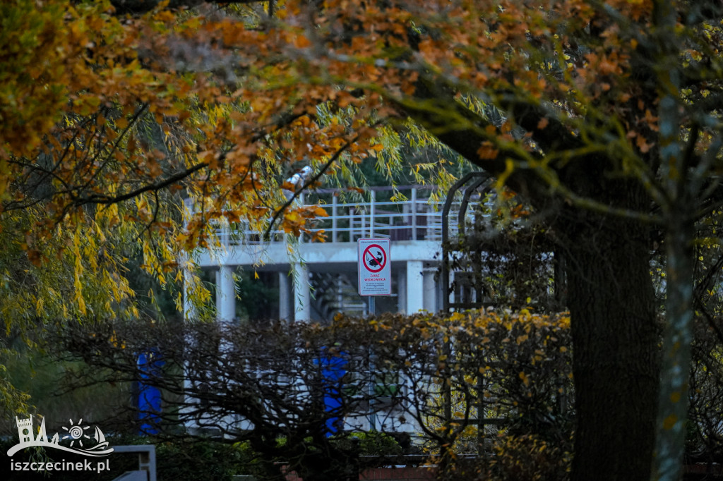 Jesień w Szczecinku. Piękne kolory w szczecineckim parku