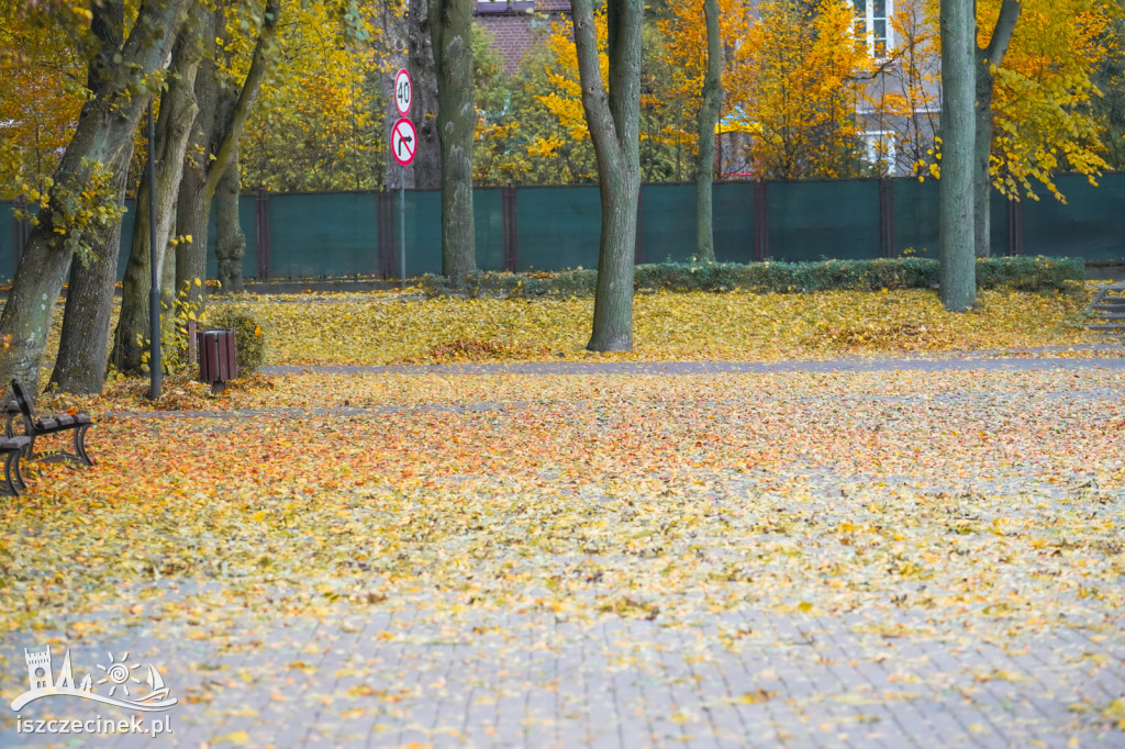 Jesień w Szczecinku. Piękne kolory w szczecineckim parku