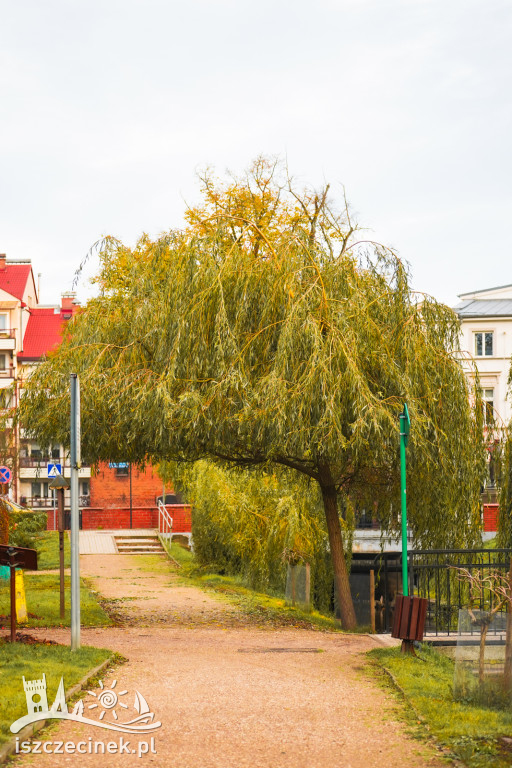 Jesień w Szczecinku. Piękne kolory w szczecineckim parku