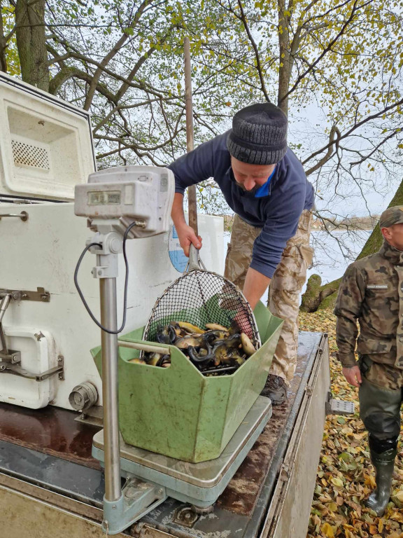 Do Trzesiecka i Wilczkowa ponownie zarybione. Tym razem linem i szczupakiem