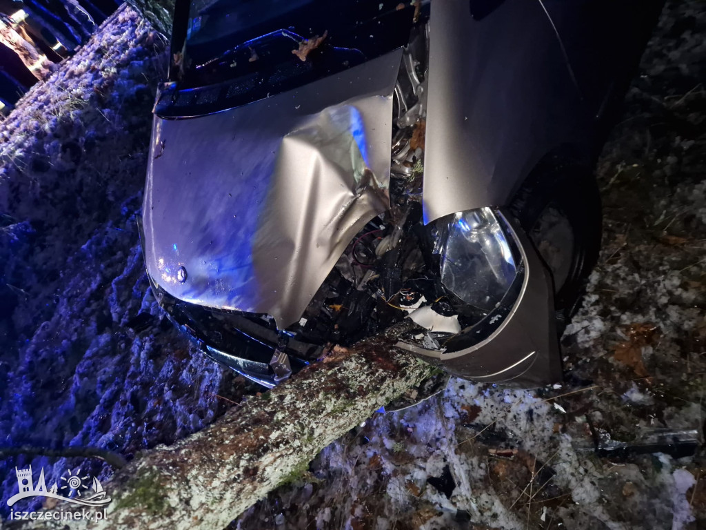 Mercedes wbił się w drzewo. Jechało nim 5 osób